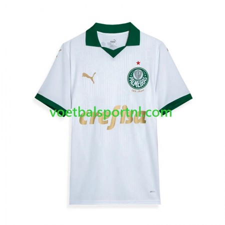 Palmeiras Uit Shirt 2024